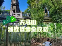 -上海佘山国家森林公园天马山园