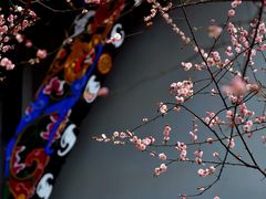 -青羊宫