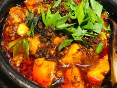 -陈麻婆豆腐(旗舰店)