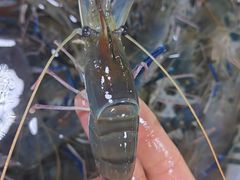 -王四营海鲜市场