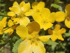 -众神白水涧景区