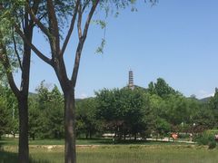 -北坞公园