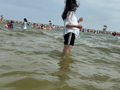 -碧海金沙