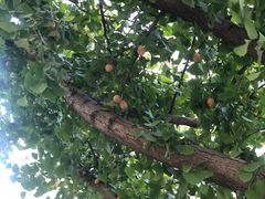 -拉芳舍(印象南塘店)