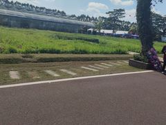 -迪茵湖田家舍生态农场