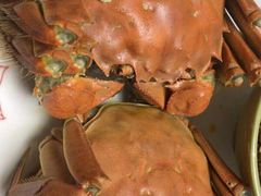 -盱眙虾神於氏龙虾(夫子庙红街店)