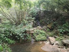 -大雁山风景区