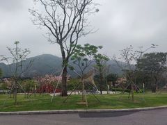 -白石龙音乐公园