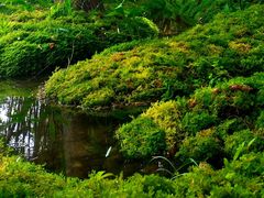 -成都市活水公园