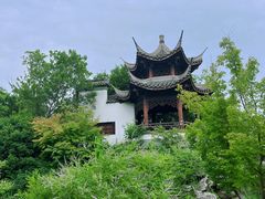 -武汉园博园(武汉自然博物馆)