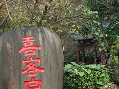 -句容茅山景区