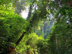 -西双版纳基诺山寨