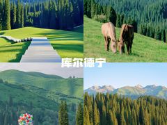 -新疆那拉提国家旅游度假区