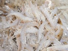 -77号渔船·蒸海鲜青岛菜(积米崖店)