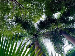 -佰园全日西餐厅-厦门佰翔软件园酒店