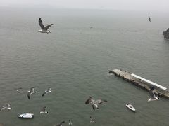 -海驴岛(荣成市)