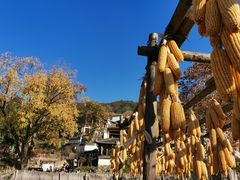 -塔川景区