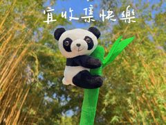 -成都大熊猫繁育研究基地