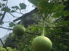 -广悦华阳朔河畔度假酒店(十里画廊遇龙河店)