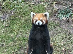 -沈阳森林动物园