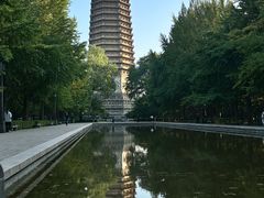 -玲珑塔公园