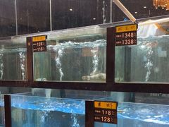-聚鑫阁江浙菜·非遗传承技艺(闵行交大店)