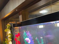 -臻享养生·SPA·影院式足道(汇臻店)