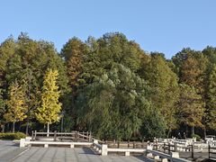 -采石矶景区