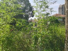 -南郊宾馆-停车场