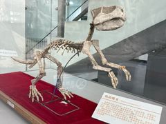 -中国第四纪冰川遗迹陈列馆