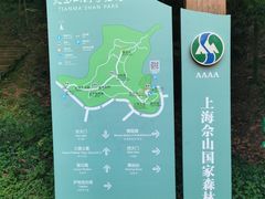 -上海佘山国家森林公园天马山园
