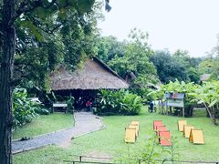 -大象粑粑造纸公园