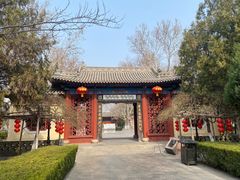 -大槐树寻根祭祖园