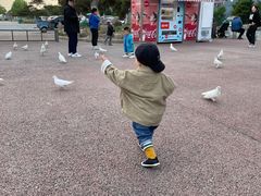 -泉城欧乐堡海洋极地世界