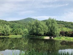 -石塘人家