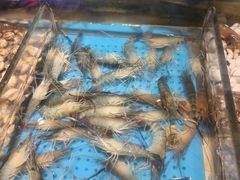 -加餐海鲜自助(宝龙一城店)