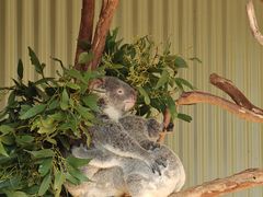 -费瑟代尔野生动物园