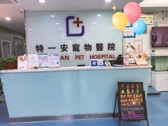 -特一安24小时宠物医院·骨科·中兽医