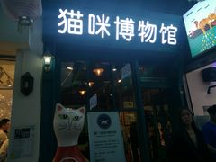 门面-猫咪博物馆(顶澳仔猫街店)