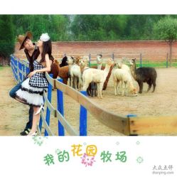 -飞鱼婚纱摄影(宏福大厦店)