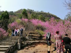 -天台山赤城山景区