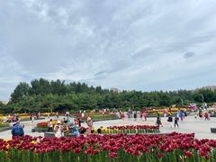 -长春公园(普阳街道)