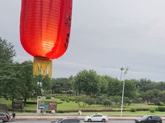-慢丽江·云南野生菌土鸡锅(付家庄店)