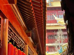 -钦赐仰殿道观