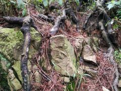 -敬亭山风景名胜区