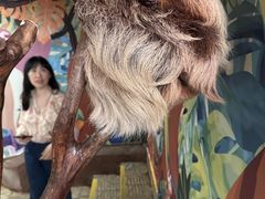 -正佳雨林生态植物园