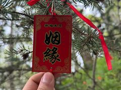 -五台山风景区