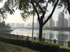 -五缘湾湿地公园