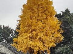-西安市广仁寺