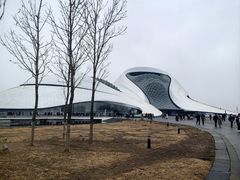 -哈尔滨大剧院
